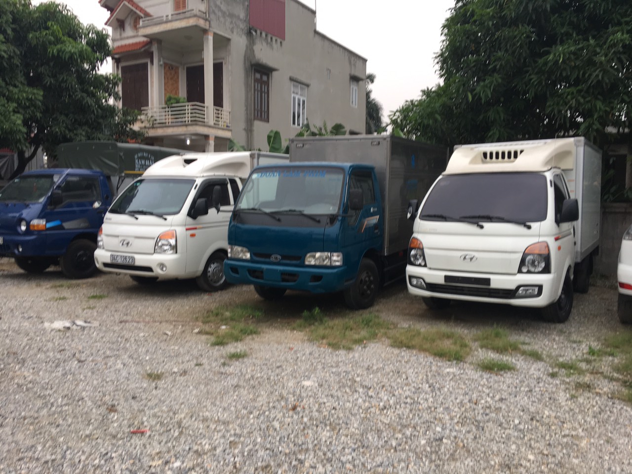 Tuấn Phong 36